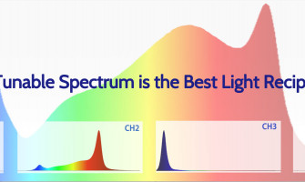From Fixed to Flexible: How Tunable LED Spectra Boost Yield & Quality