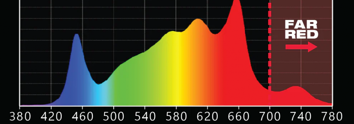 Beyond Red & Orange: How Dynamic LED Spectra Are Redefining Plant Growth