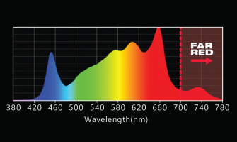 Beyond Red & Orange: How Dynamic LED Spectra Are Redefining Plant Growth