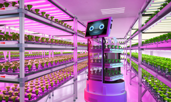 Scalability & Vertical Farming: LEDs Enabling Multi-Tier Production