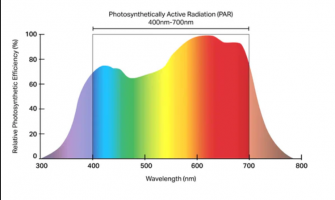 Static vs. Dynamic Light: Why Plants Need More Than HPS Red-Orange Spectrum