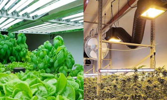 LED Lighting vs Traditional Grow Lights: Which Is Better for Your Crops?