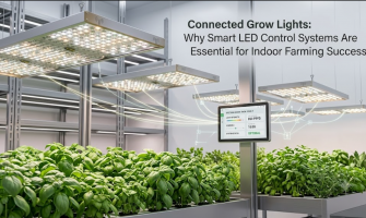 Connected Grow Lights: Why Smart LED Control Systems Are Essential for Indoor Farming Success
