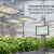 Connected Grow Lights: Why Smart LED Control Systems Are Essential for Indoor Farming Success