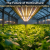 The Future of Horticulture: How Smart LED Grow Lights Are Maximizing Crop Yields in 2026
