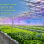 Growing More with Less: The Role of Smart LED Solutions in Sustainable Horticulture Success