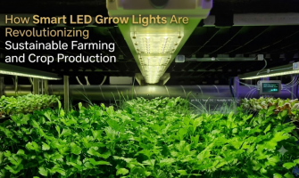 How Smart LED Grow Lights Are Revolutionizing Sustainable Farming and Crop Production