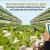 Next-Generation LED Grow Lights: Boosting Crop Quality, Reducing Energy Costs, and Supporting Sustainable Agriculture