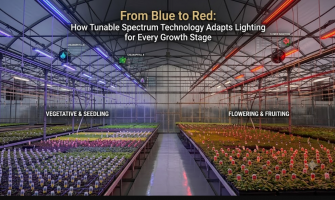 From Blue to Red: How Tunable Spectrum Technology Adapts Lighting for Every Growth Stage
