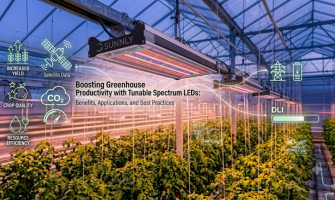 Boosting Greenhouse Productivity with Tunable Spectrum LEDs: Benefits, Applications, and Best Practices