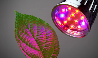 Precision Optics: Even Light Distribution Across Canopies