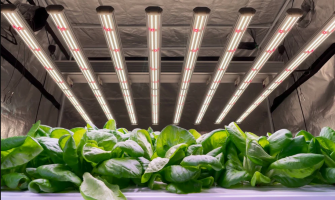 Tunable Spectrum Technology: Dynamic Lighting in Action