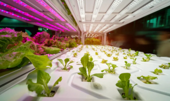 Watt’s Better? Breaking Down the Grow Light Debate in Modern Farming