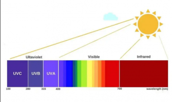 How Full-Spectrum LED Grow Lights Are Changing Indoor Farming in 2025