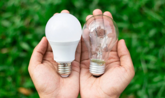 The Light Battle: LEDs vs. Traditional Grow Lights – Who Wins in 2025?