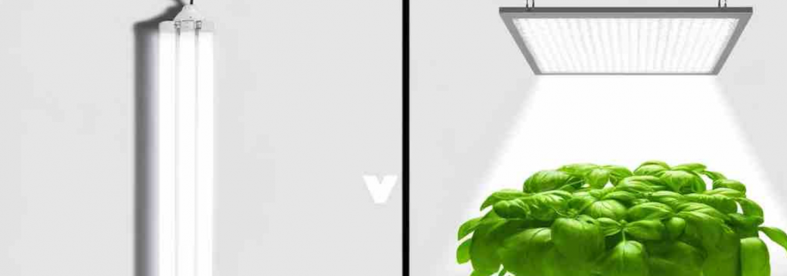 Shedding Light on the Future: Comparing HPS, Fluorescents, and LED Grow Systems