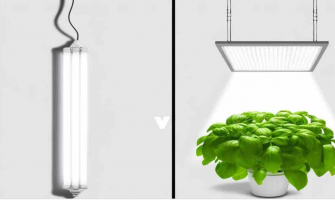 Shedding Light on the Future: Comparing HPS, Fluorescents, and LED Grow Systems
