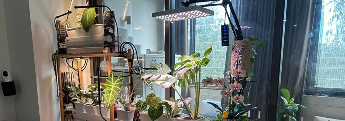 Boost Your Yield in 2025 with Energy-Efficient LED Grow Lights