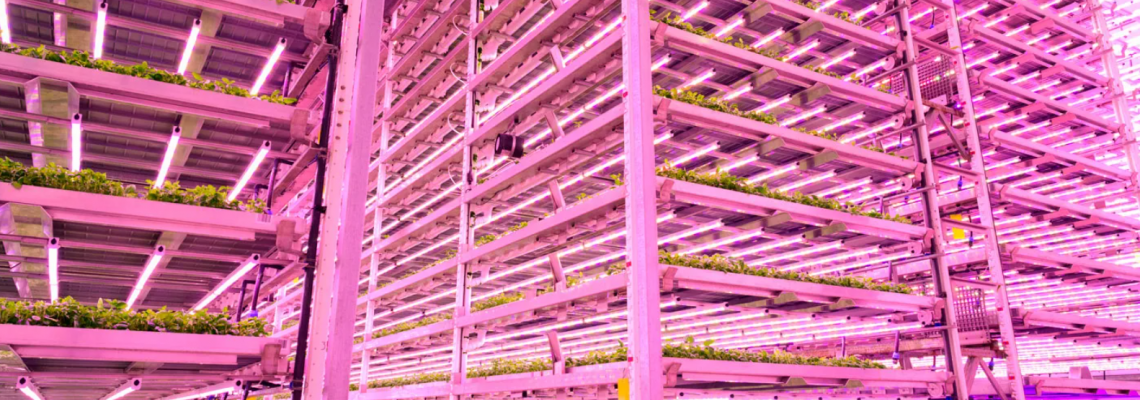 Smart Light, Smarter Farms: Why Traditional Lighting Is Losing Ground