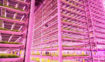 Smart Light, Smarter Farms: Why Traditional Lighting Is Losing Ground