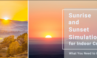 Smart Schedules & Photoperiod Control: Sunrise to Sunset Simulation