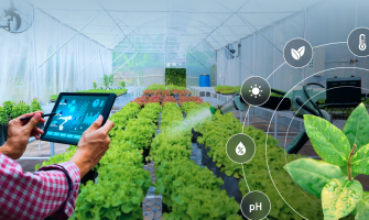 Smart Farming Integration: Why LEDs Outshine HPS in IoT and Automation
