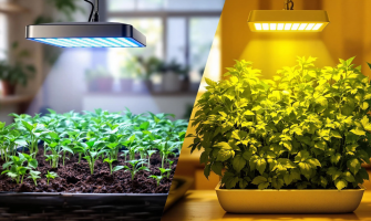 Initial Investment vs. Operating Cost: A Deep Dive into HPS vs. LED Expenses Initial Investment vs. Operating Cost: A Deep Dive into HPS vs. LED Expenses