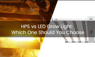 Why Static HPS Light Is Outdated And What Dynamic LEDs Do Better