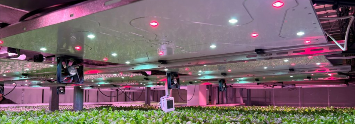 The Science Behind LED Lighting for Faster Plant Growth The Science Behind LED Lighting for Faster Plant Growth