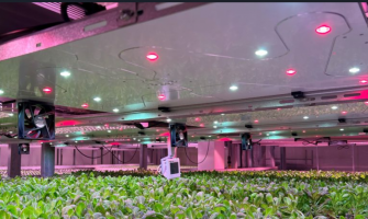 The Science Behind LED Lighting for Faster Plant Growth
