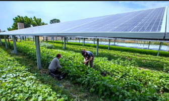 Grow Anywhere with Solar-LED Solutions for Off-Grid Farming