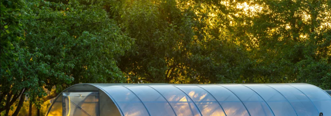 5 Reasons LED Grow Lights Are a Must for Modern Greenhouses