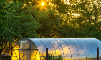 5 Reasons LED Grow Lights Are a Must for Modern Greenhouses