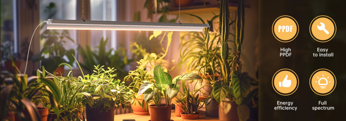 Sun to Shelf: How Solar-Driven Grow Lights Power Sustainable Food Production