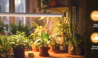 Sun to Shelf: How Solar-Driven Grow Lights Power Sustainable Food Production