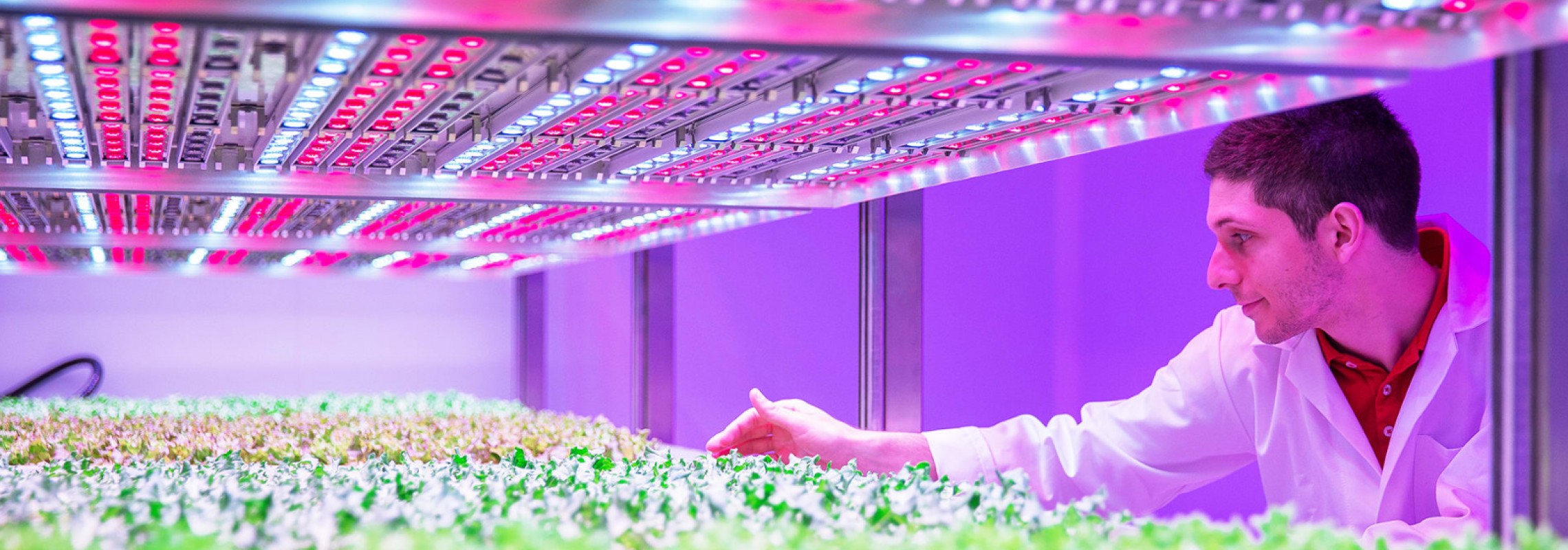Spectrum Crop Development One Crop, One Spectrum: Customized LED Lighting for Higher Yield & Quality