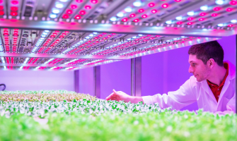 One Crop, One Spectrum: How Customized LED Lighting Maximizes Yield & Quality