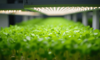 Grow Smarter, Not Harder: How LED Intelligence Is Powering the Next Generation of CEA