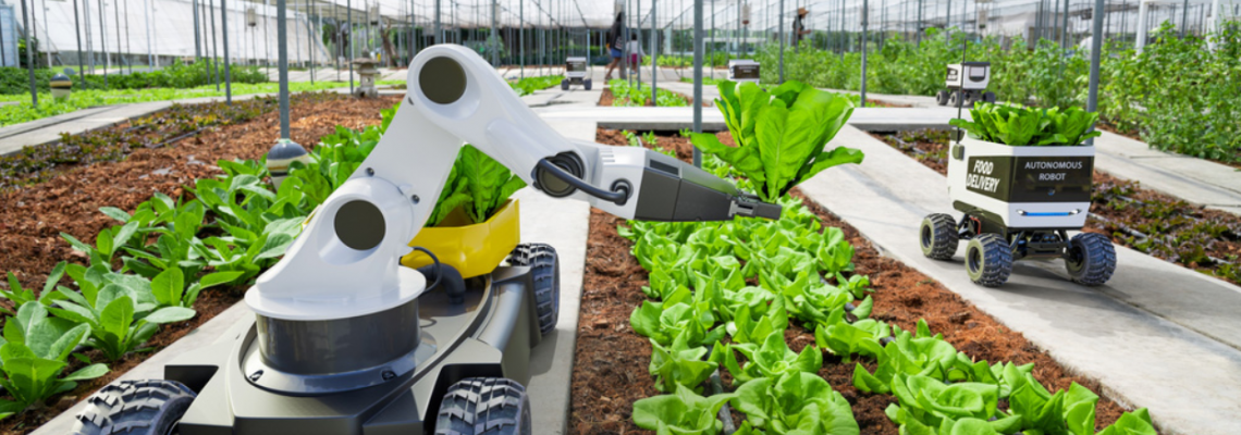 The Rise of Smart Farms: Why LED-Driven CEA Is Redefining Food Production