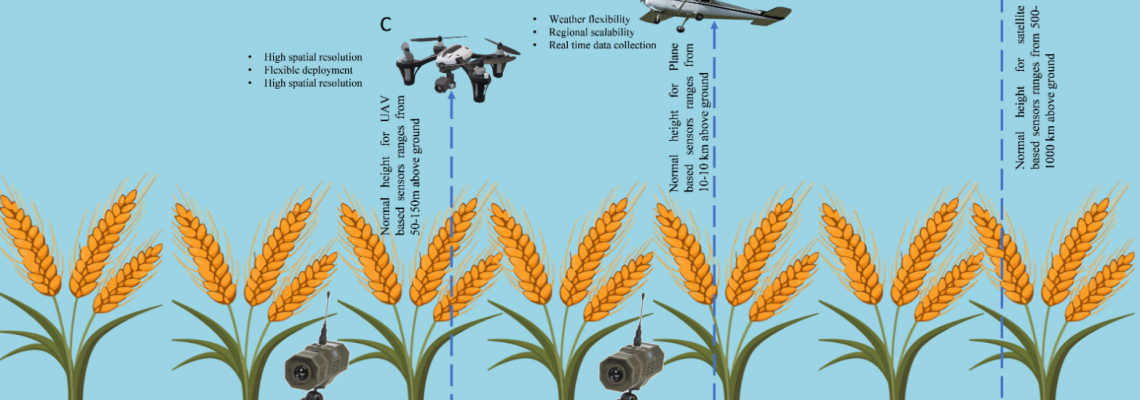 From Sensors to Spectra: How LED Technology Is Making Controlled Farming Data-Driven