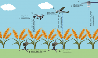 From Sensors to Spectra: How LED Technology Is Making Controlled Farming Data-Driven