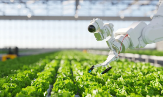 Future-Ready Farms: How LED Innovation Is Scaling Controlled Environment Agriculture