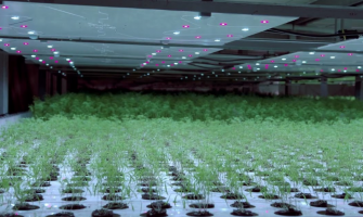 Human-Centric Lighting in Indoor Farms: Designing Light That Supports Both Plants and People