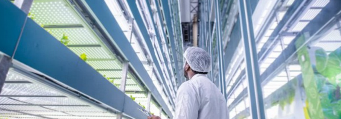 Circadian-Smart Farms: Balancing Plant Growth Cycles with Human Wellness Lighting