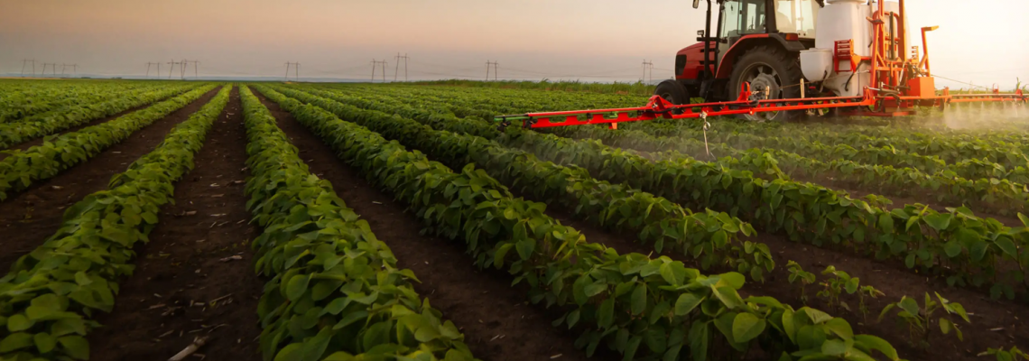 Energy-Efficient Farming: How Smart Sunrise Simulation Reduces Costs & Improves Quality