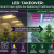 LED Takeover: Why Smart Grow Lights Are Replacing Traditional Systems
