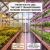 From HID to LED: The Shift Transforming Modern Indoor Farming