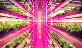 Why Full Spectrum LEDs Are the Future of Hydroponics
