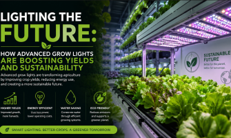 Lighting the Future: How Advanced Grow Lights Are Boosting Yields and Sustainability