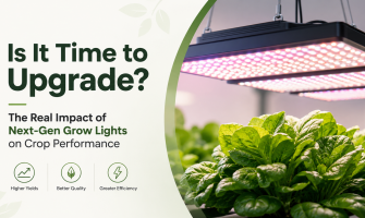 Is It Time to Upgrade? The Real Impact of Next-Gen Grow Lights on Crop Performance